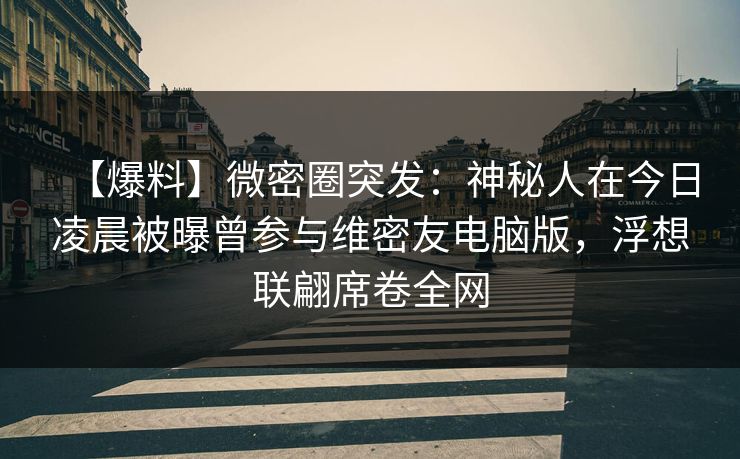 【爆料】微密圈突发：神秘人在今日凌晨被曝曾参与维密友电脑版，浮想联翩席卷全网