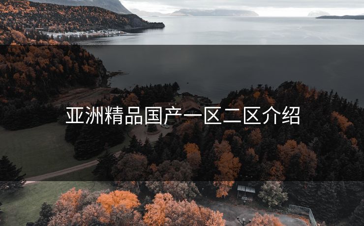 亚洲精品国产一区二区介绍