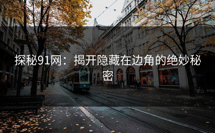 探秘91网：揭开隐藏在边角的绝妙秘密
